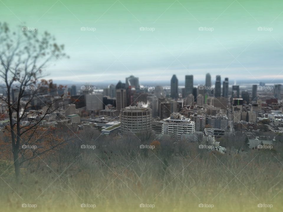 View of Montreal from Mount Royal