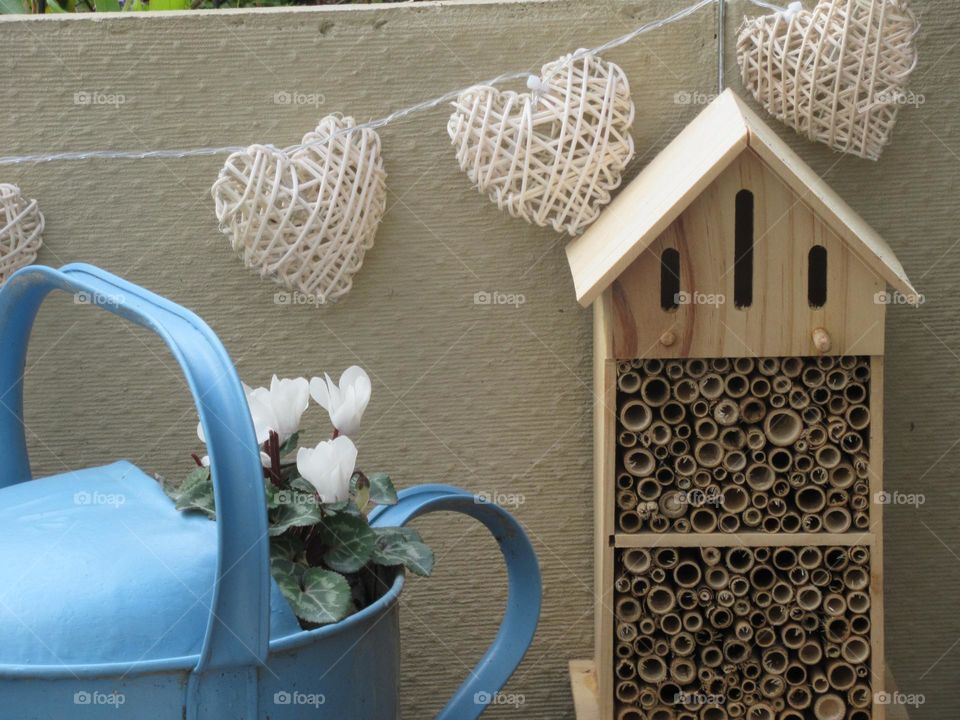 blue watering can being used as a plant pot