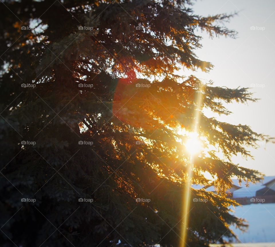 Same as the other one but a different angle.