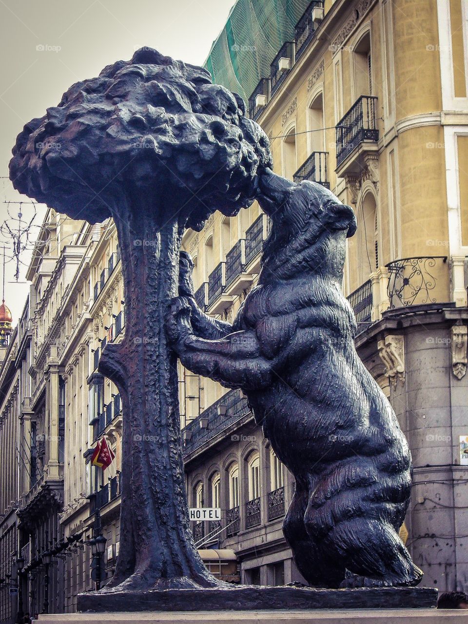 El Oso y el Madroño (Madrid - Spain)