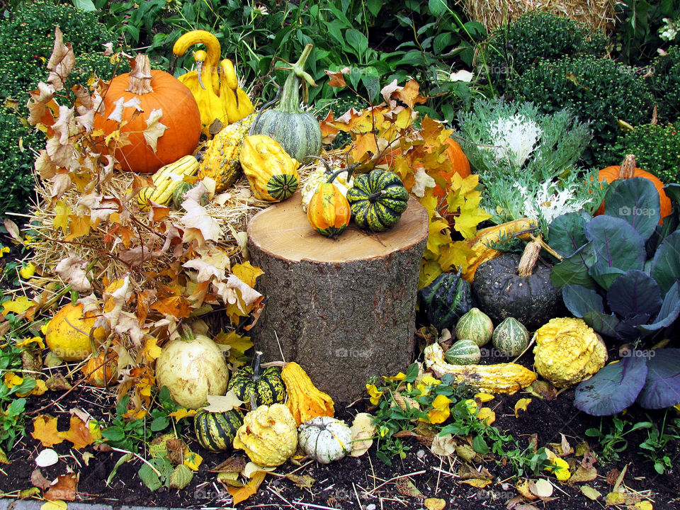 Autumn table