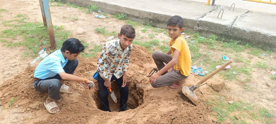 tree plantation work by school students