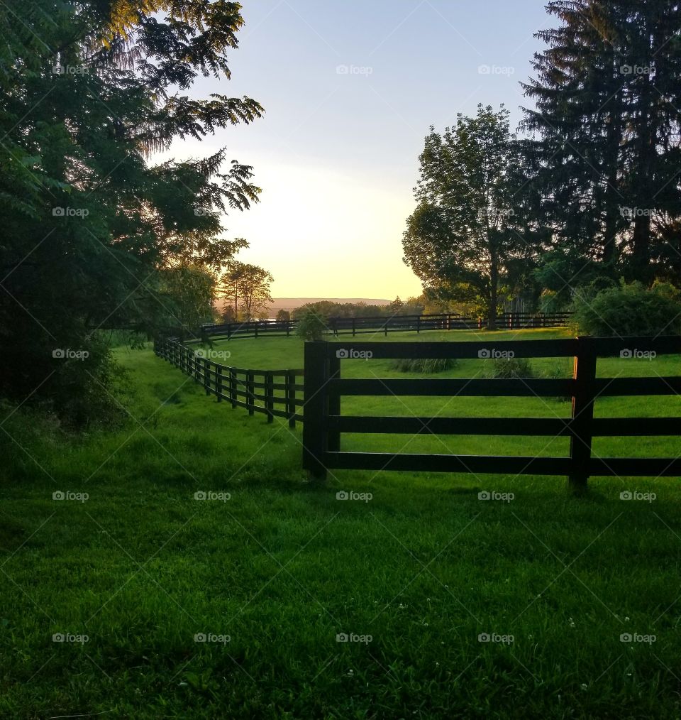 country vista