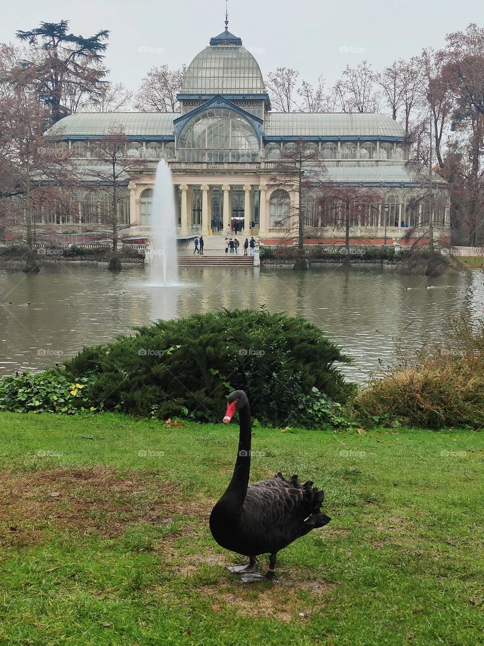 elegancia en un color