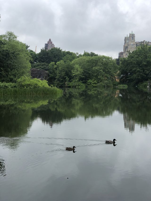Central Park