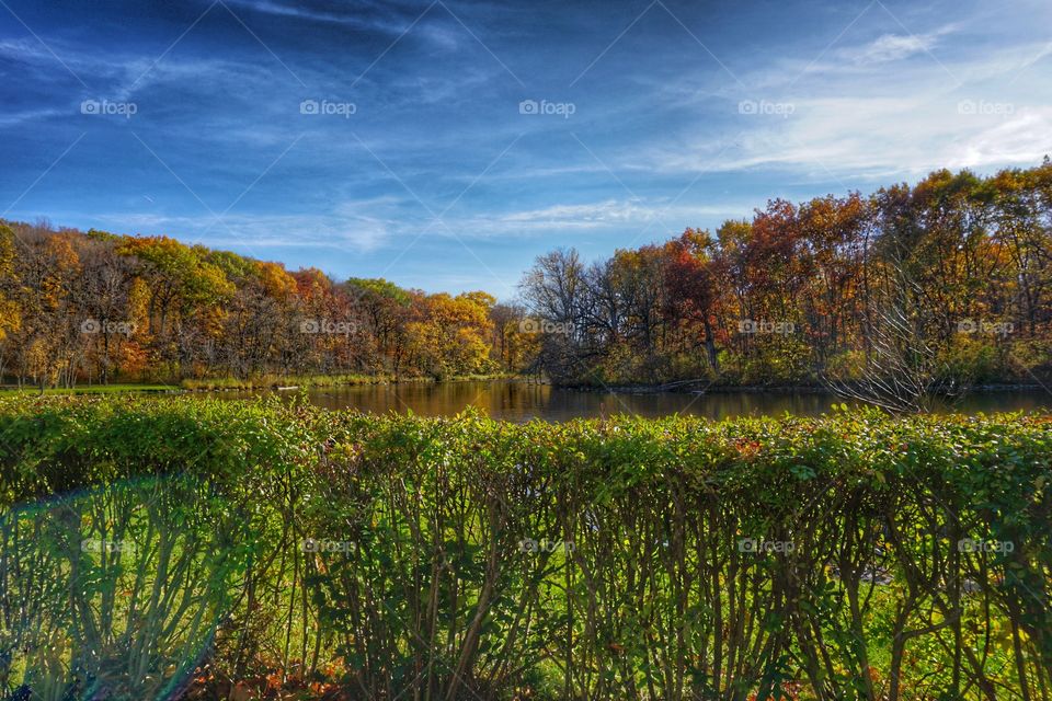 Scenic view of a river