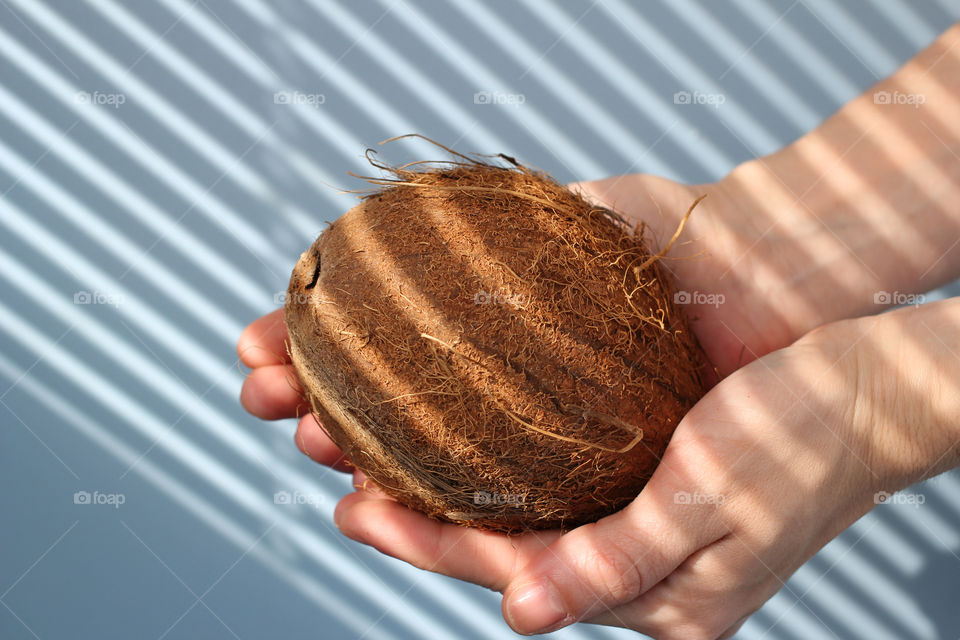 Coconut, fruit, food, hands, still life, abstraction, coconut in hands, cut coconut in hands, whole coconut, broken coconut