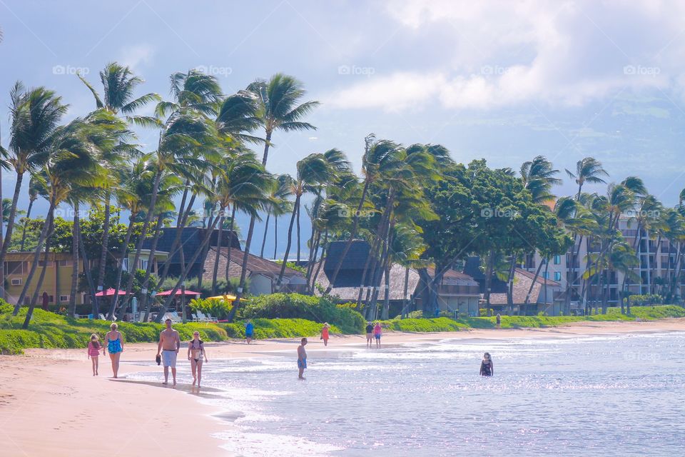 Hawaiian vacation beach