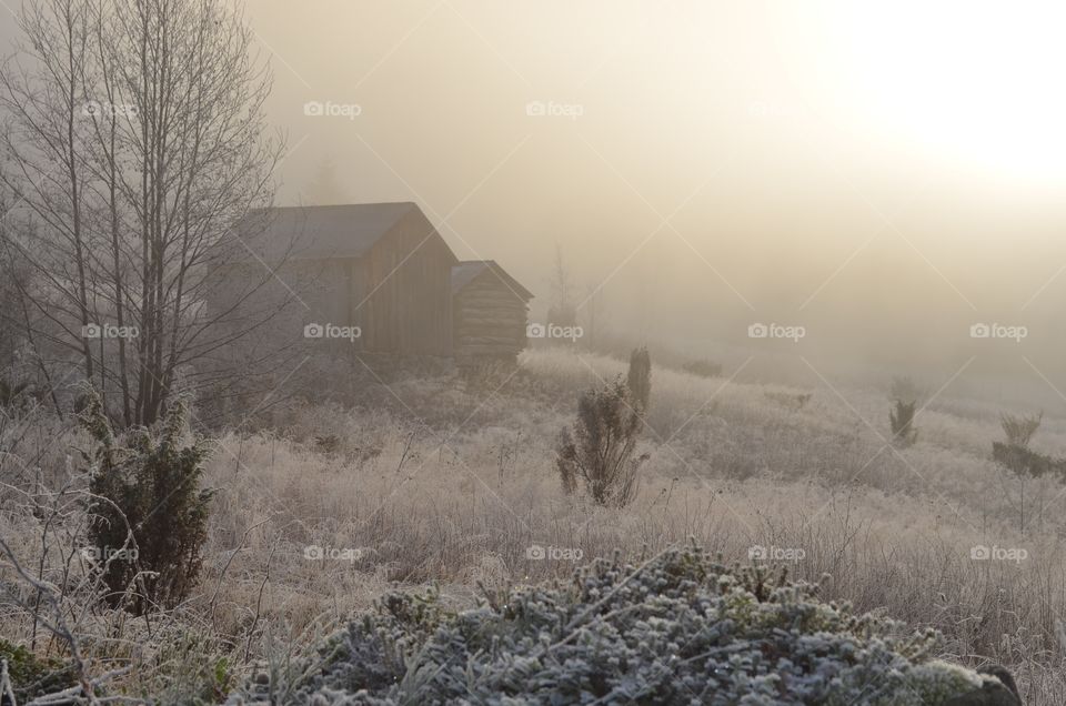 Winter and snow