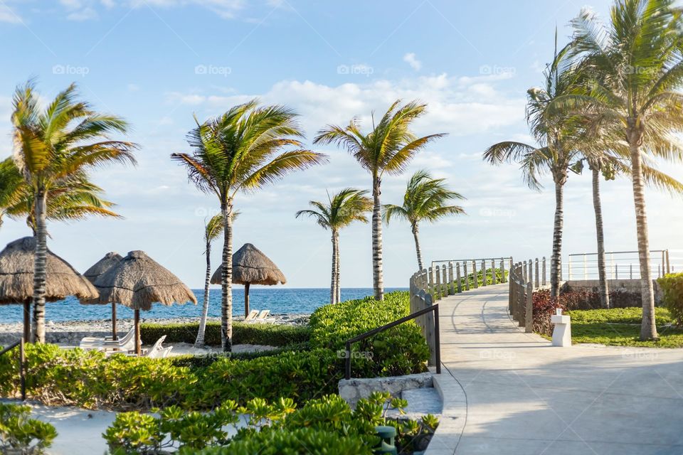 A calm breeze on a resort