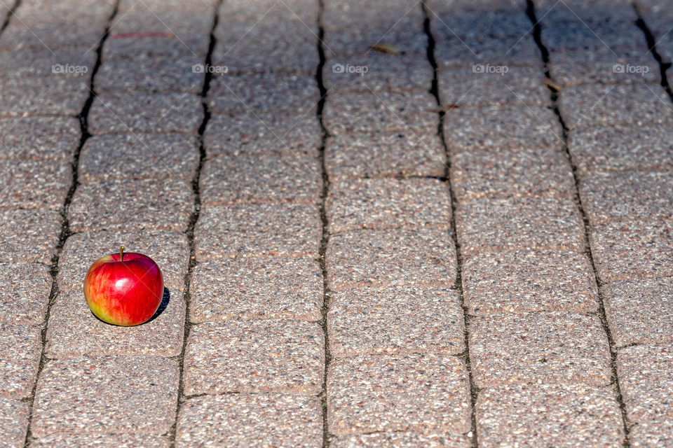 Footpath brick blocks with red apple, the beautiful pathway in the public park in the morning.