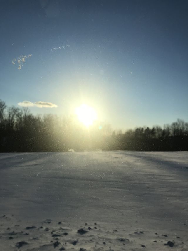 Winter