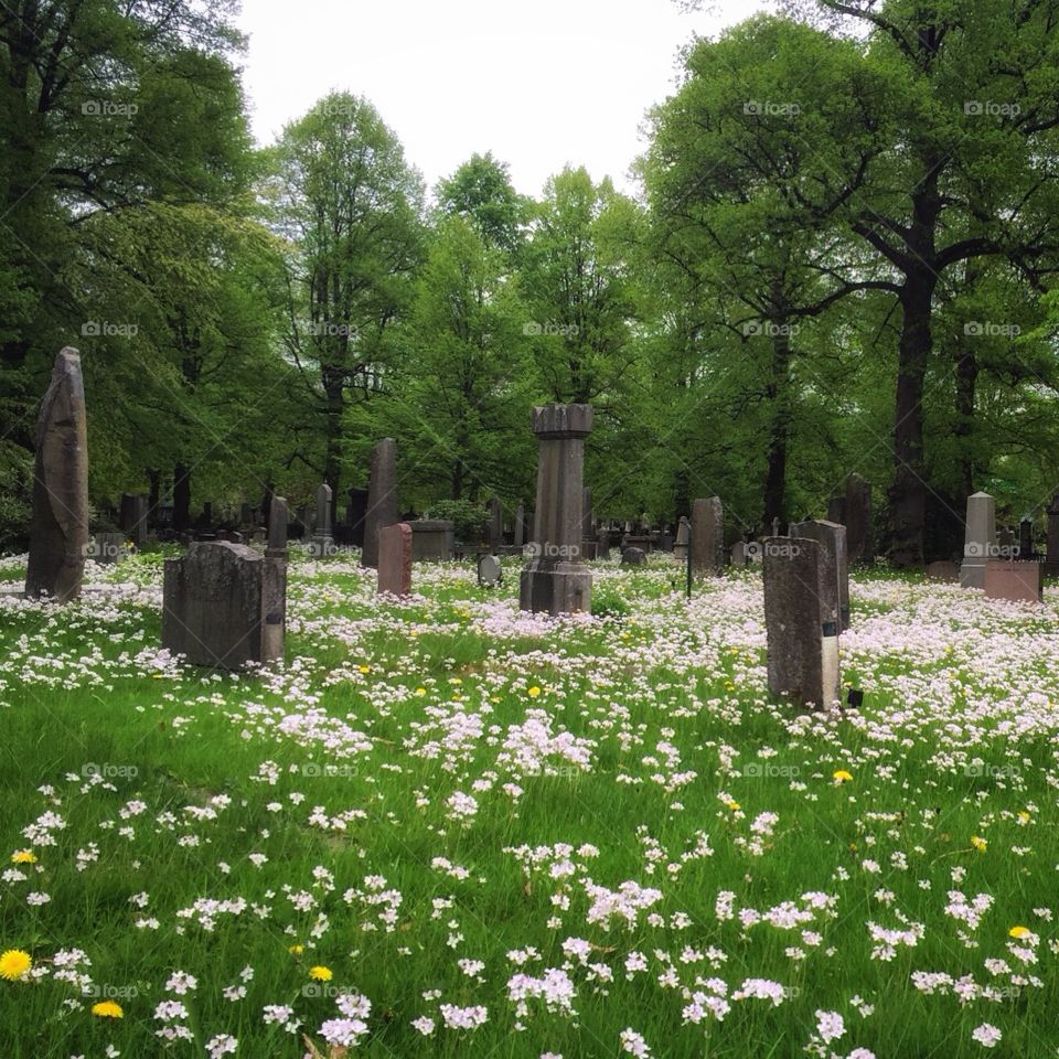 Cemetery