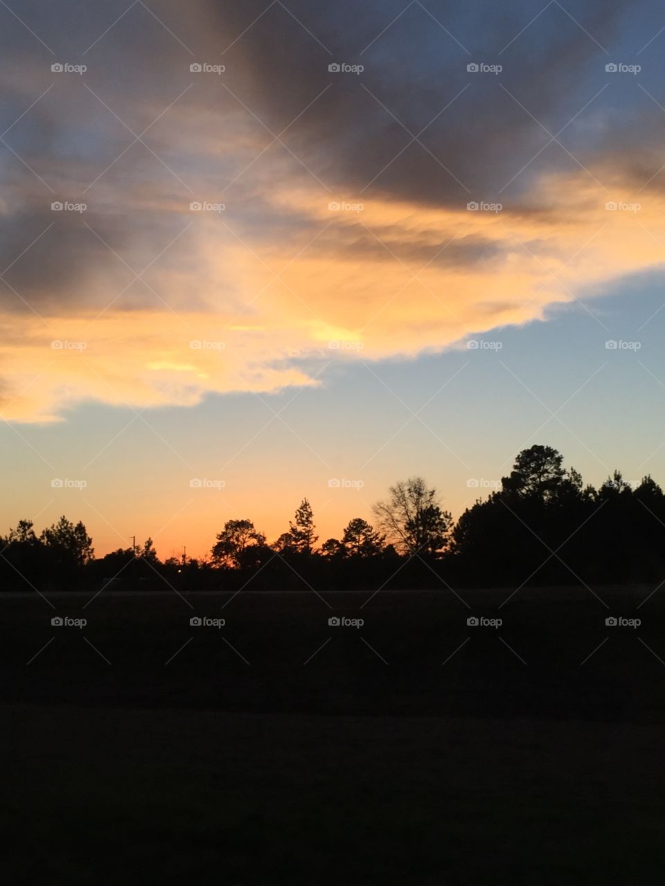 Beautiful sky at sunset with trees silhouetted. 
