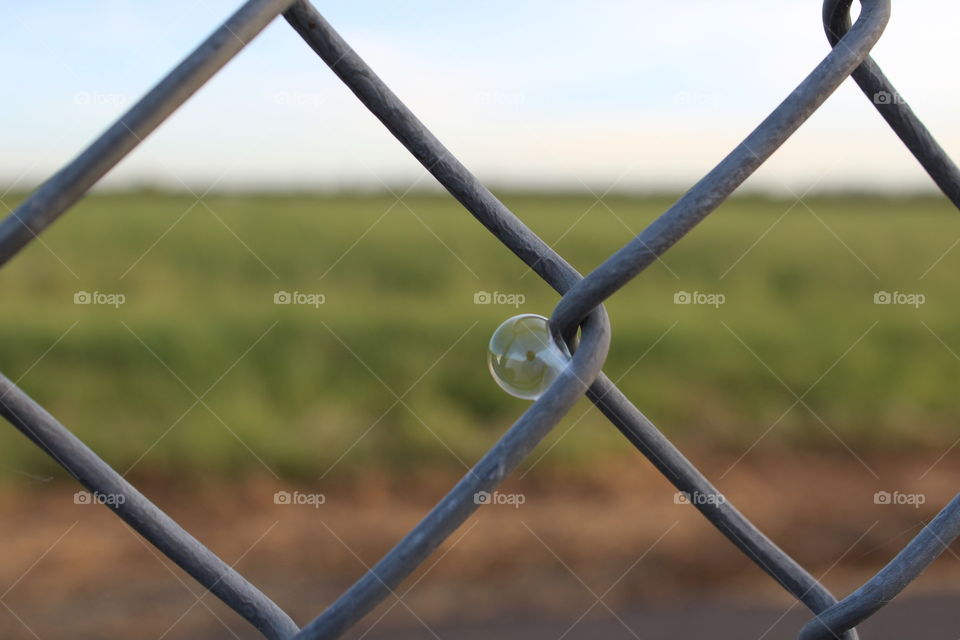 bubble on a fence