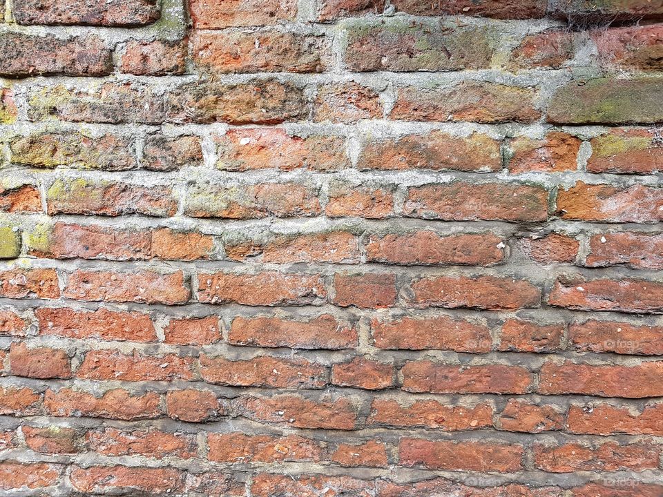 wall bricks