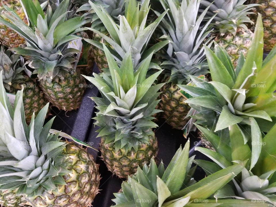 fresh pineapples