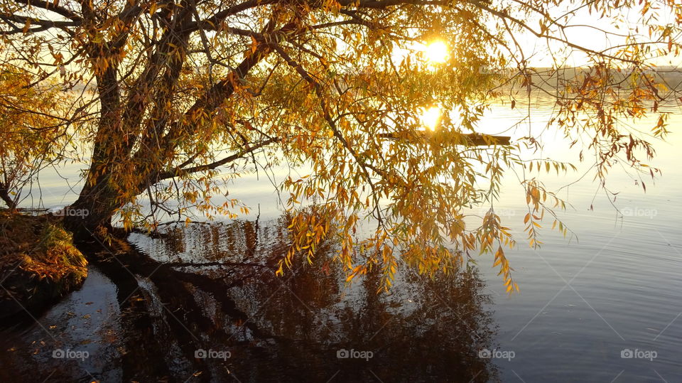 golden autumn in Russia