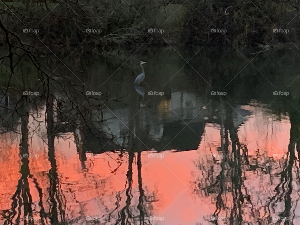 Alone at the end of the day