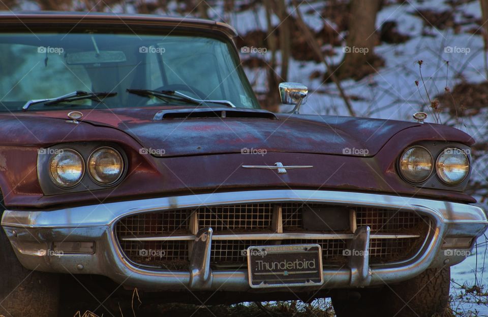 Antique Ford Thunderbird 