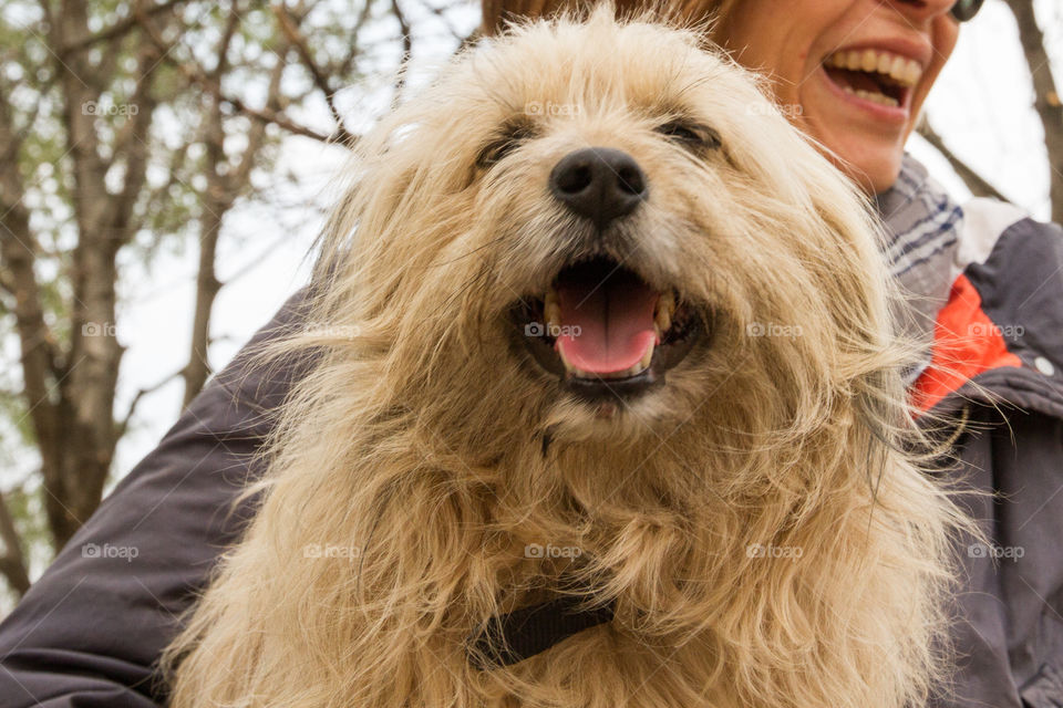 Smiling Dog 