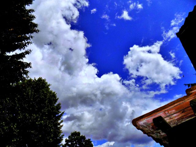 Sky