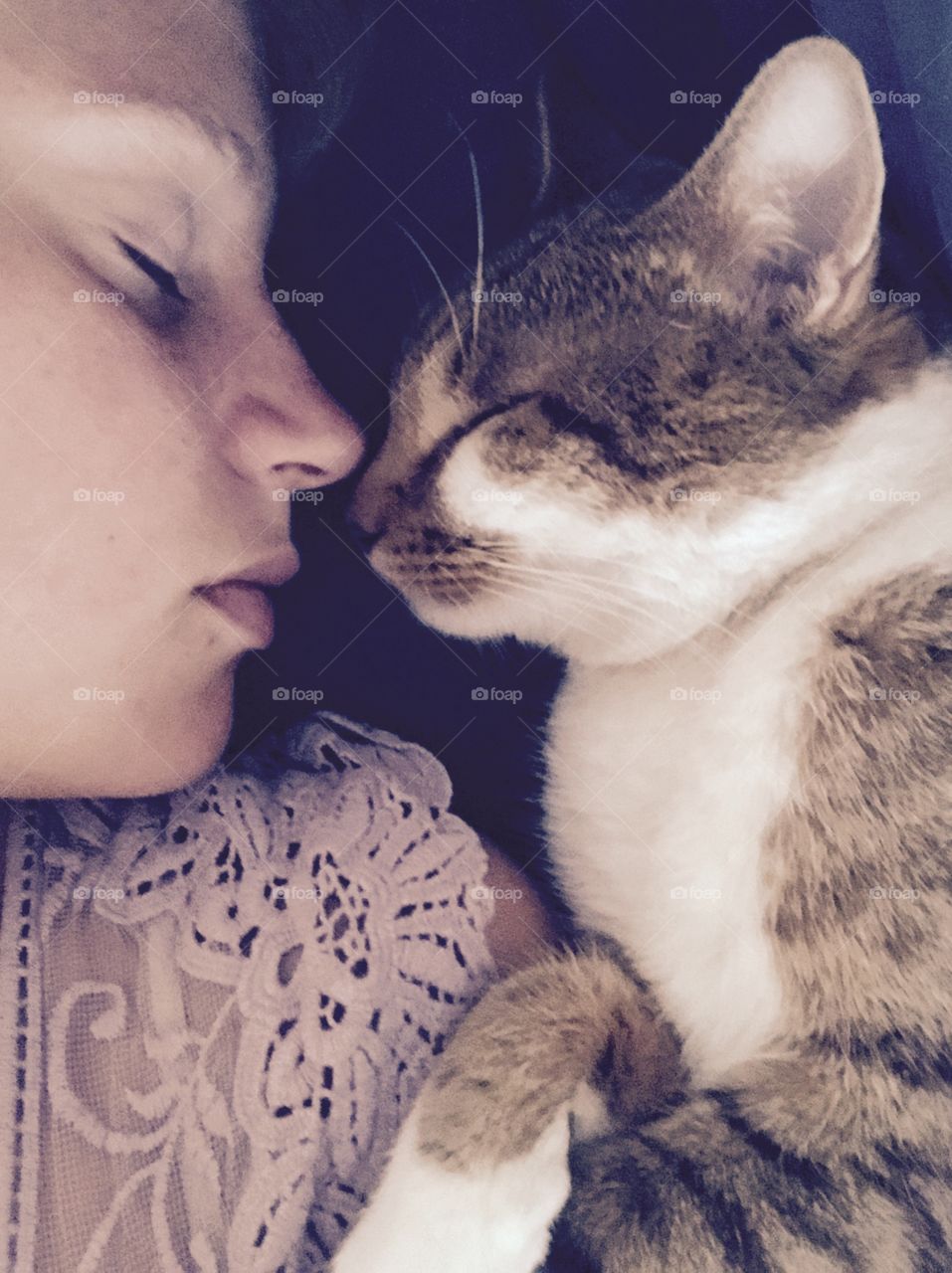 Close-up of a cat sleeping with young woman