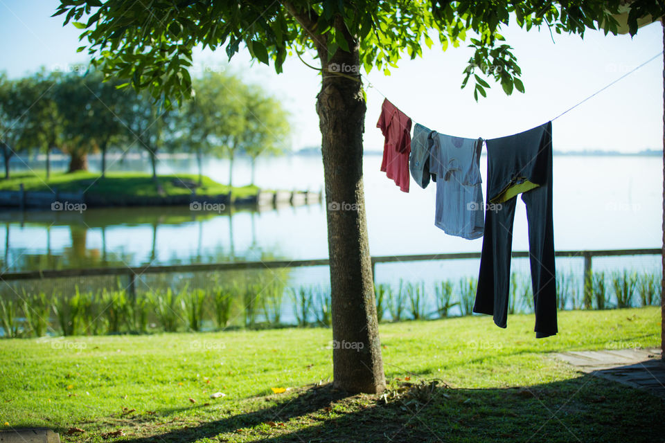 Laundry drying on clothesline