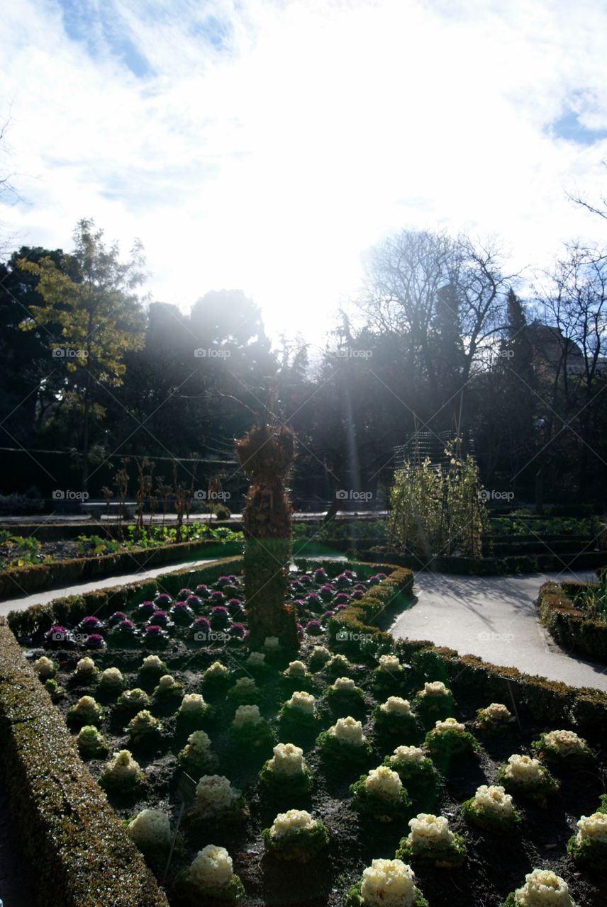 beautiful shoot of the botanic garden in Madrid