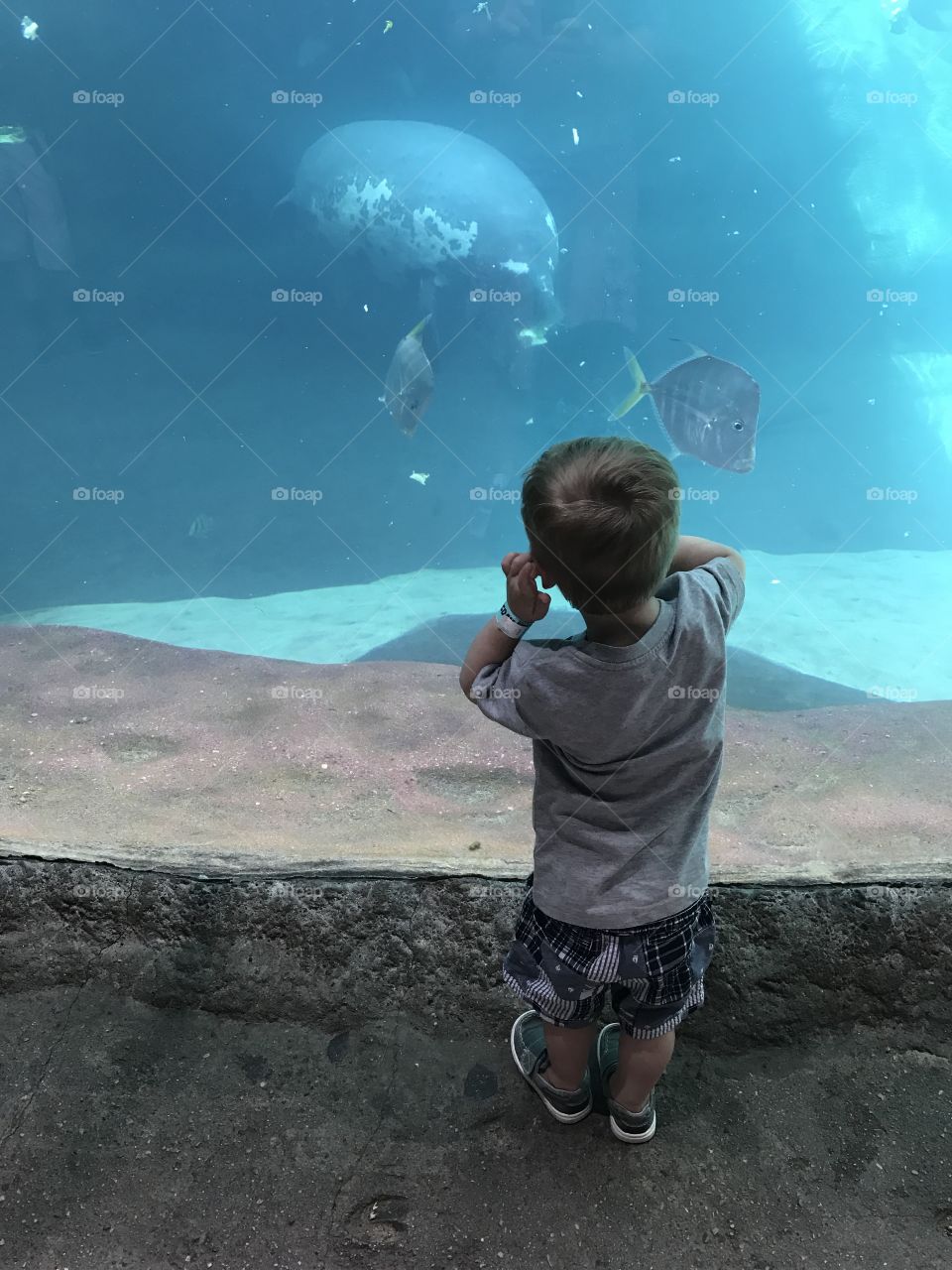 Aquarium fun zoo