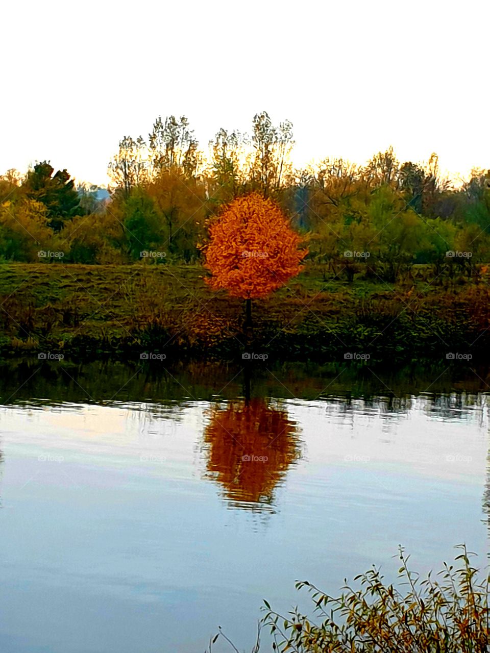 autumn  , so beautiful  !!!!!🍂🍂🍂