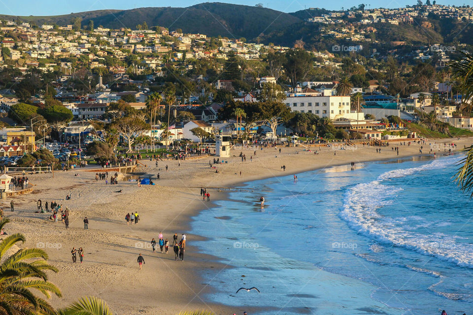 Beach on New Year's Day