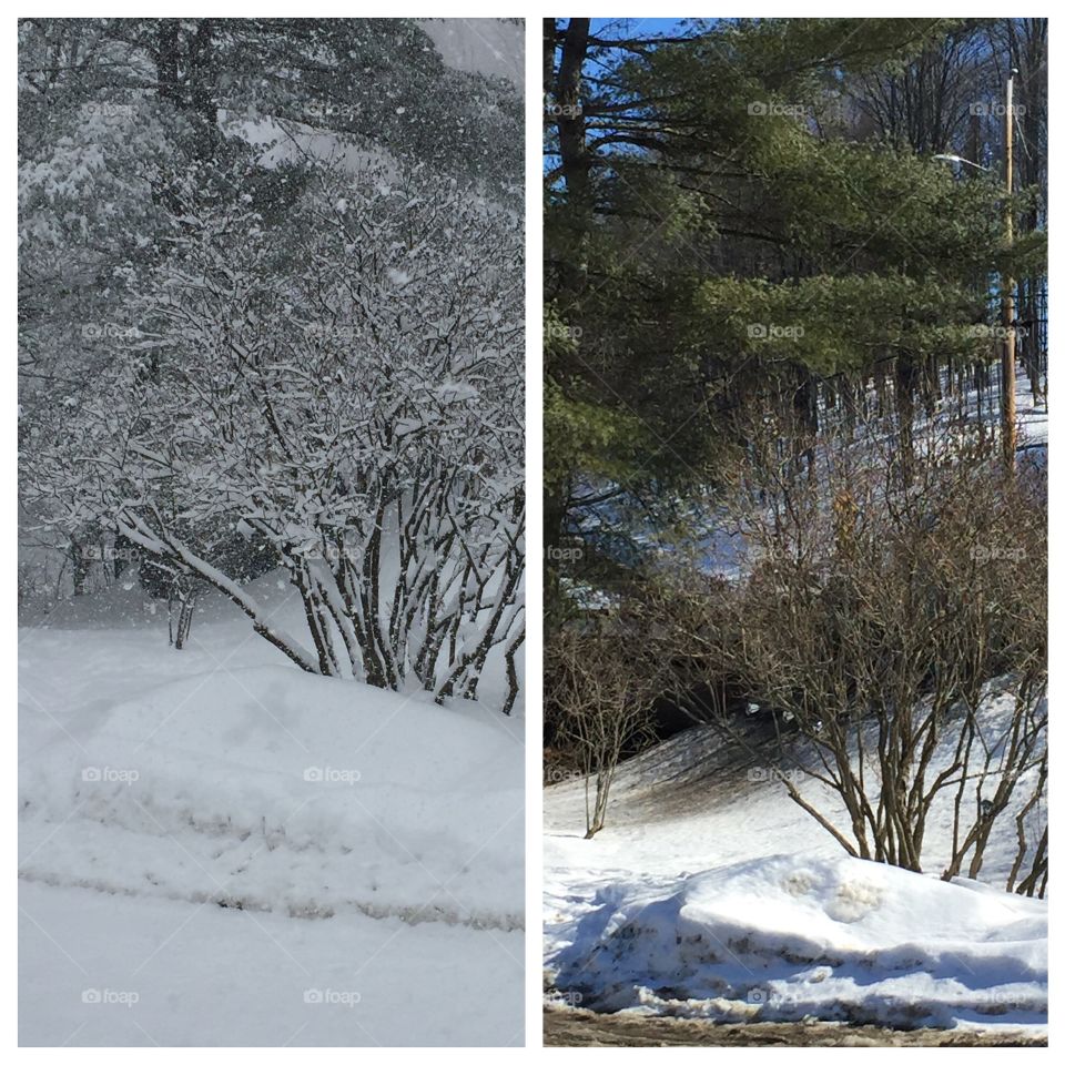From winter to spring in the same week 