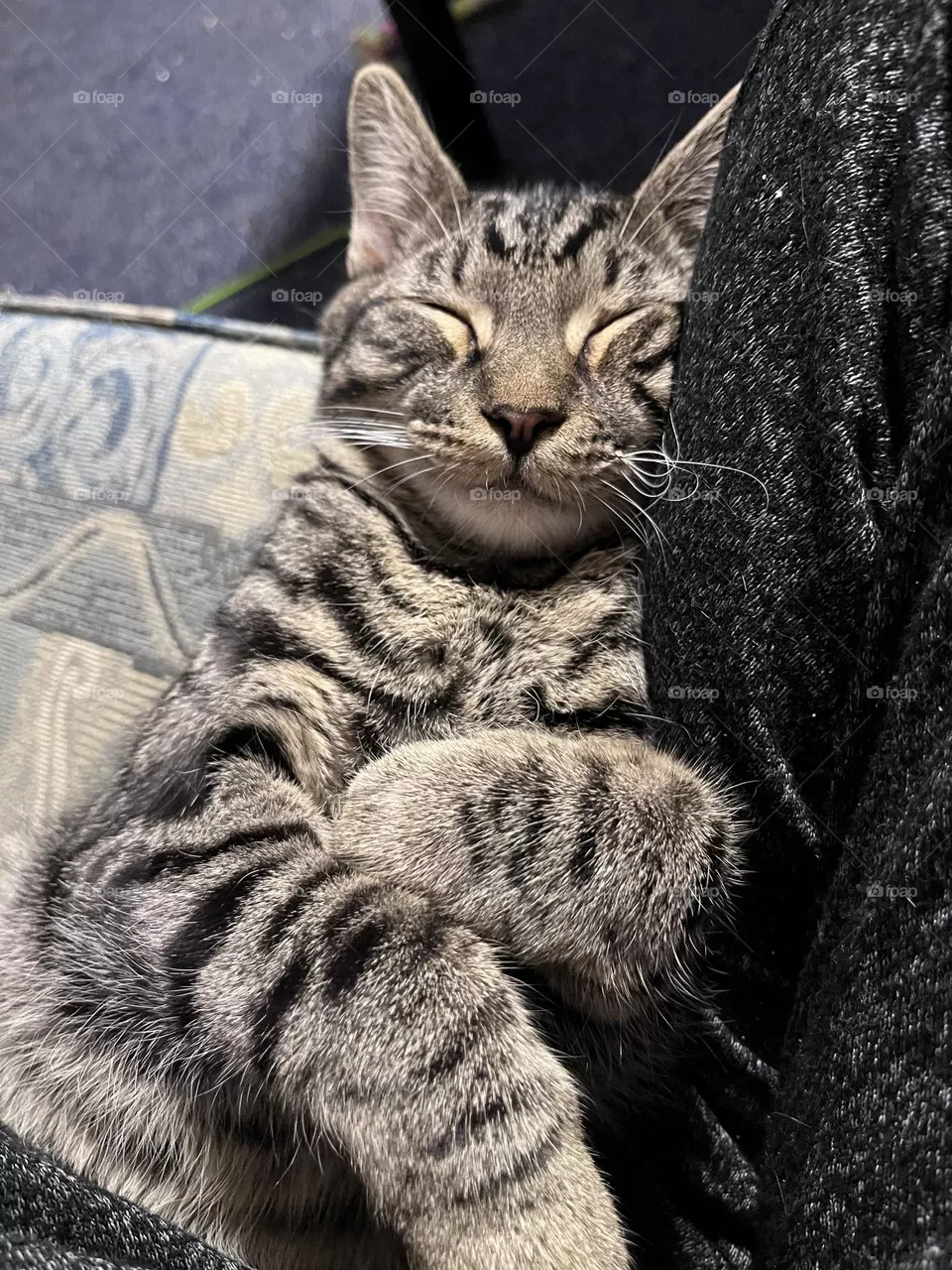 Loki