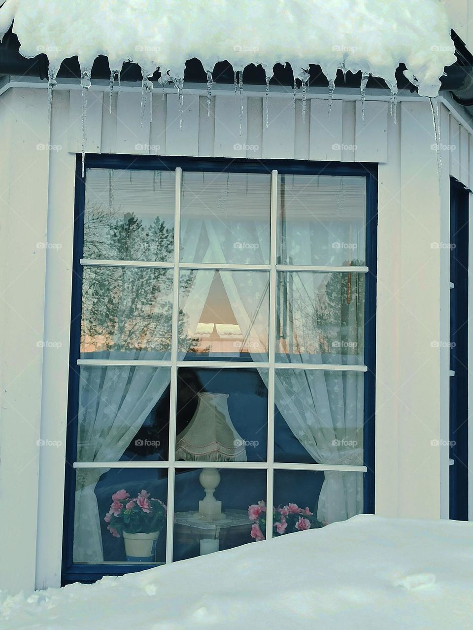 Winter-spring window.