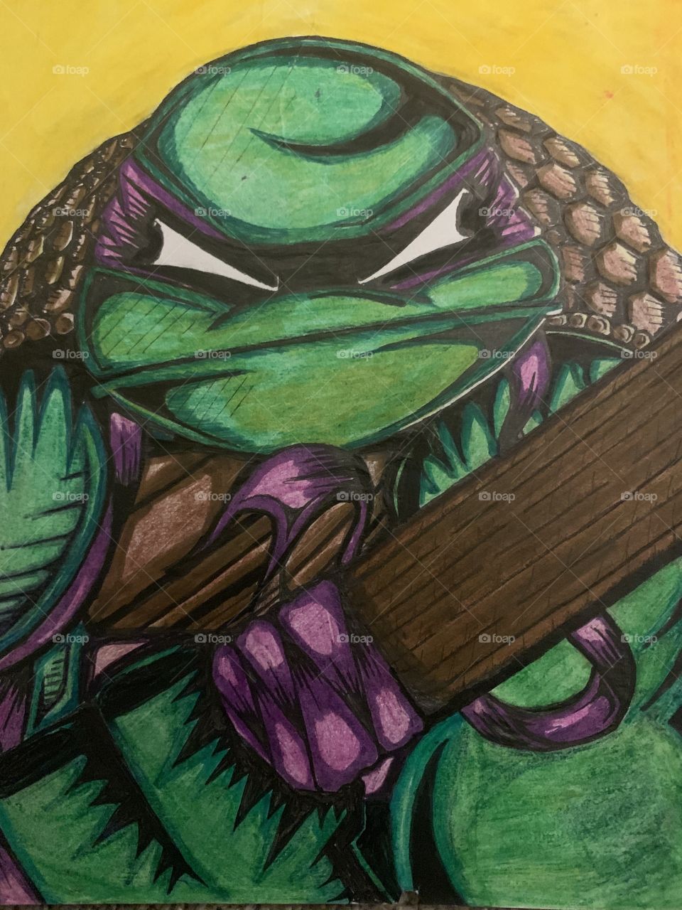 Donatello ninja turtles 
