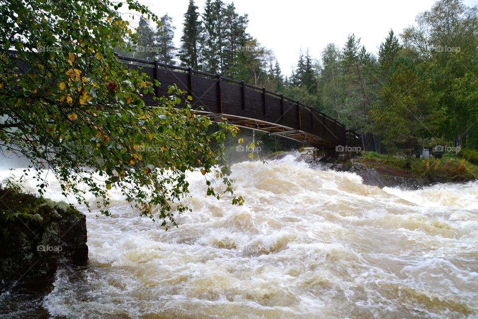 Bridge over troubled Water . From a Big Waterfall from Heaven in september in Norway 