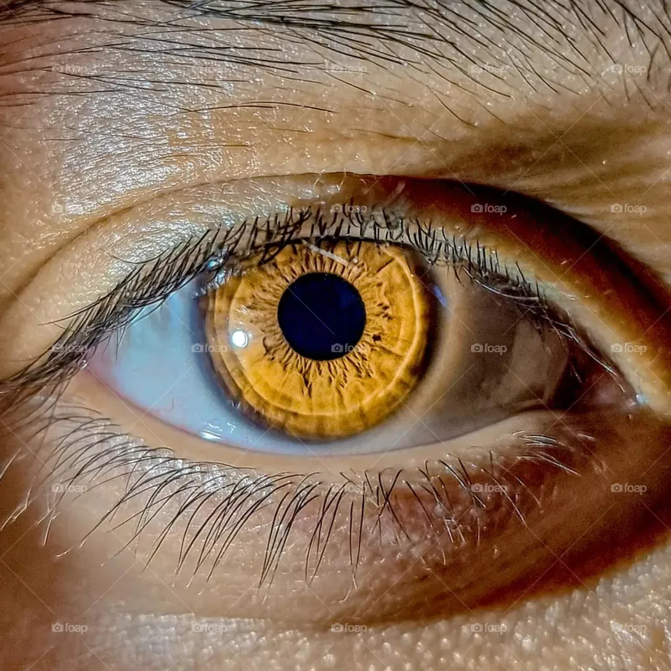 Zoom eyes