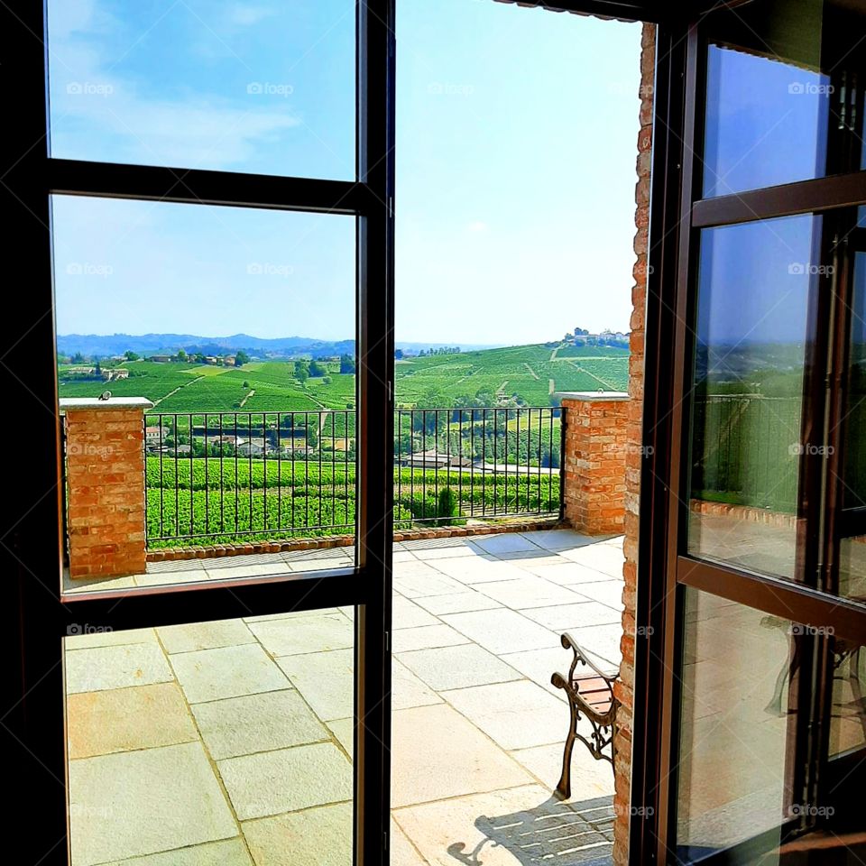 View of the terrace and green vineyards