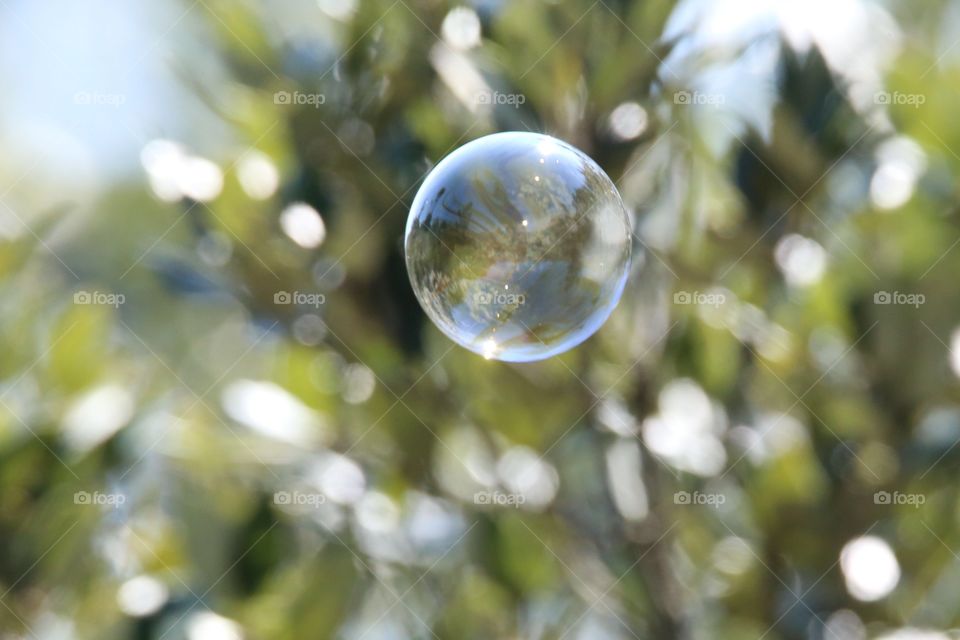 Bubble