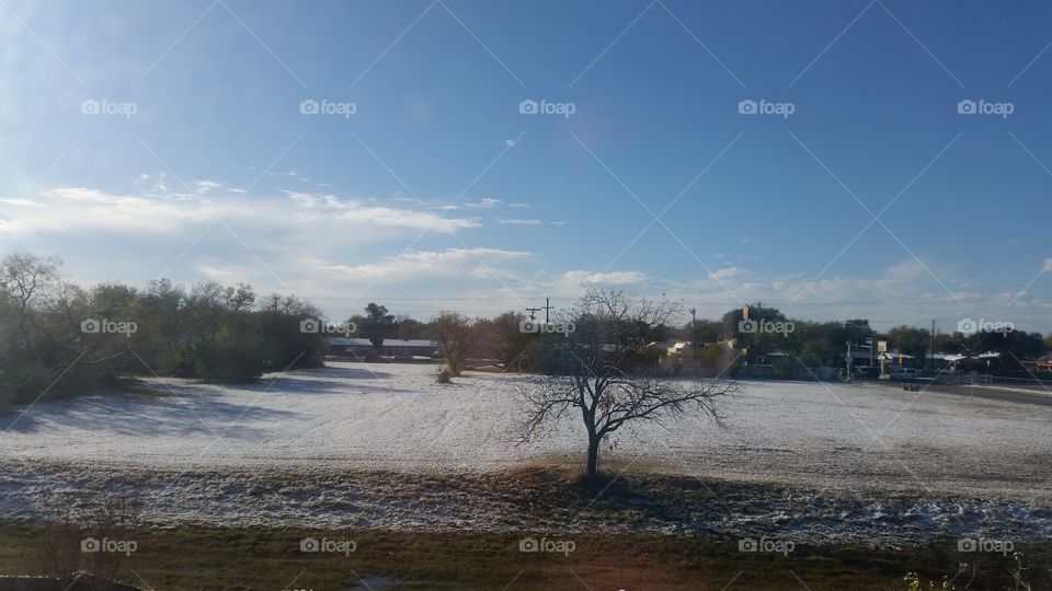 one day after the snow in Texas