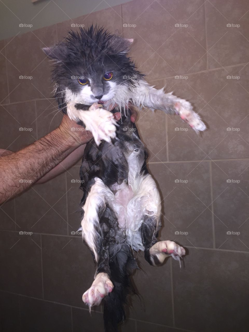 Roman hates bath time!