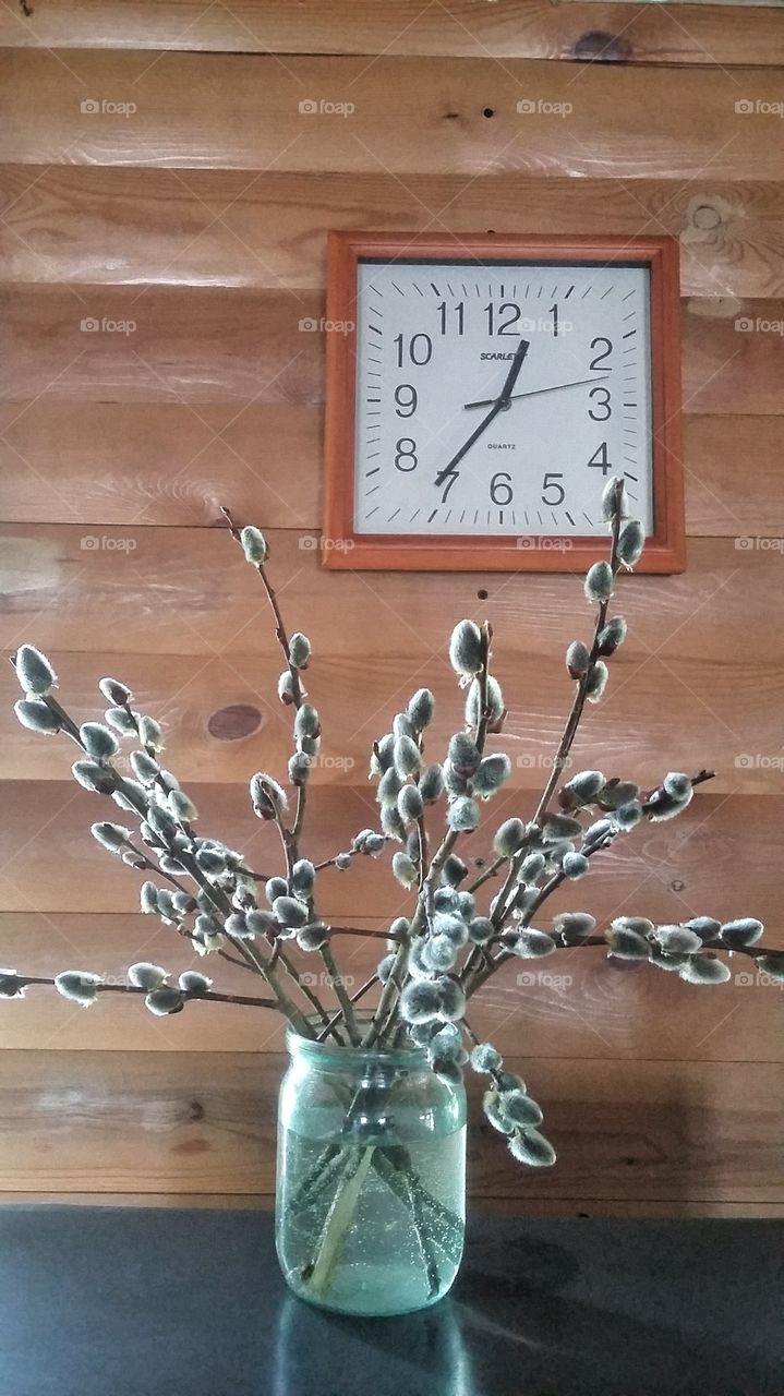 веточки вербы на фоне стены в деревянном доме