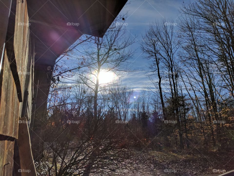 sunshine taken on a pixel