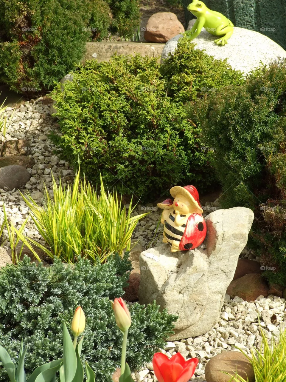 garden