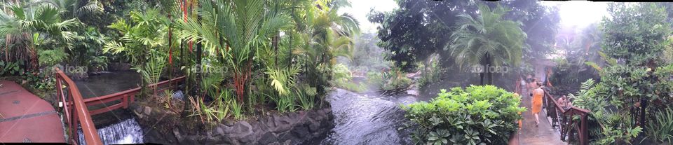 Pano jungle