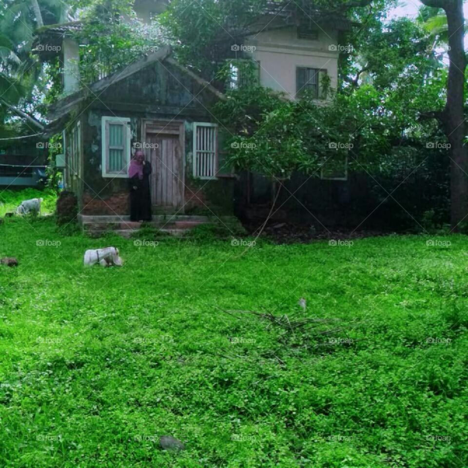 traditional old house