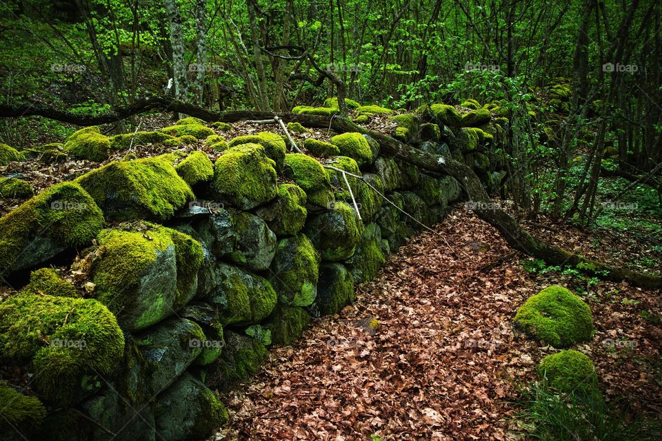 Wall