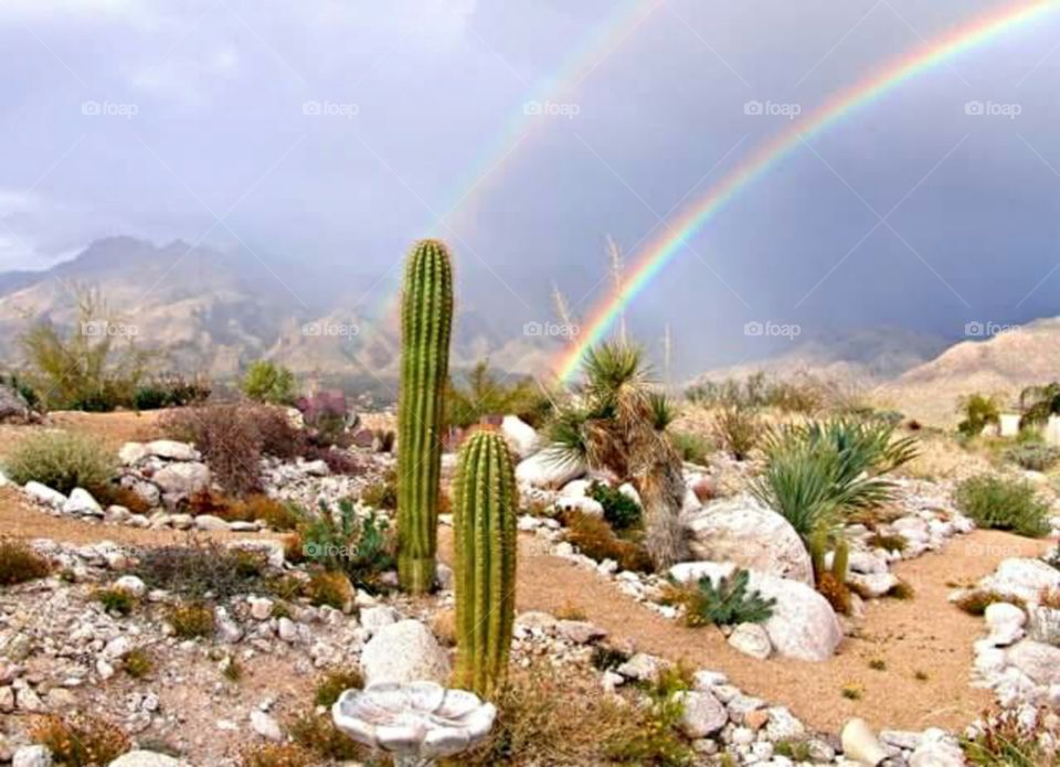 Dual Desert Rainbows. Tucson, Arizona