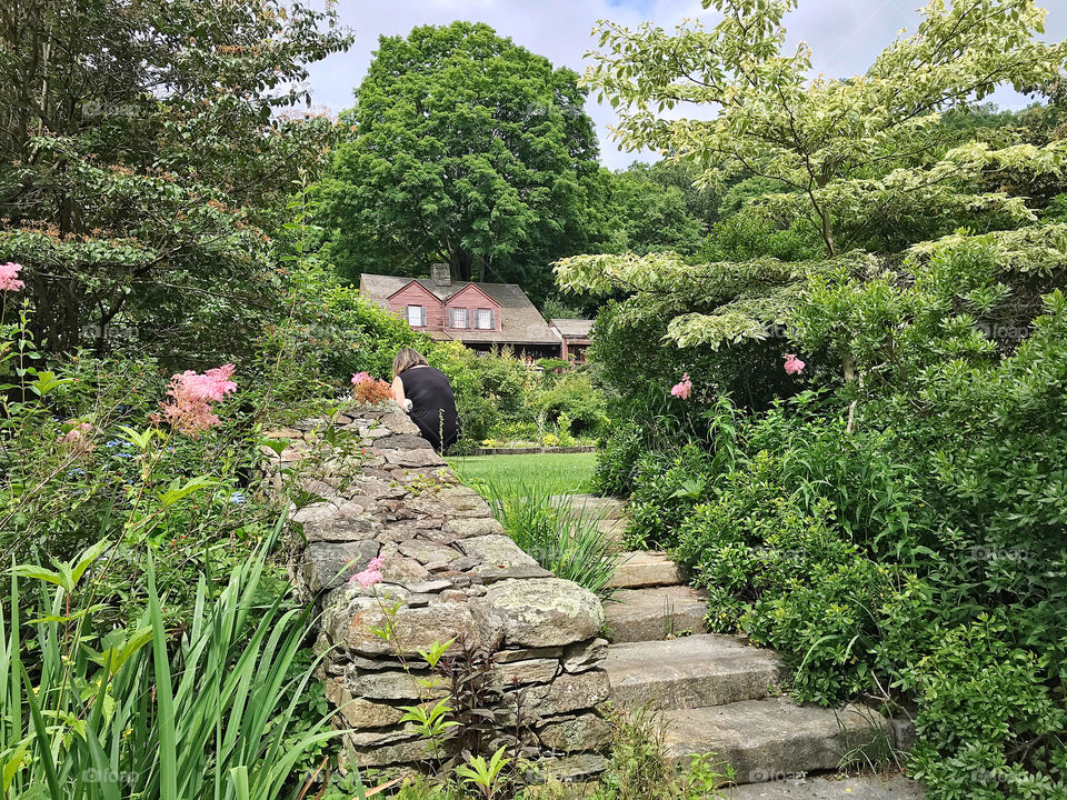 English country garden 